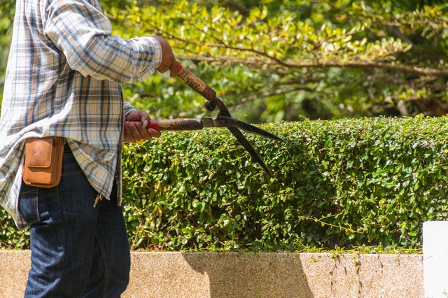 Garden Maintenance Loughton, High Beach, IG10
